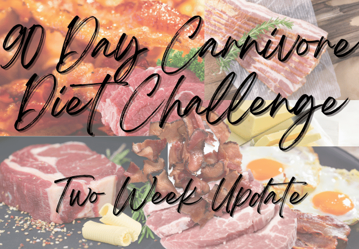 90 Day Carnivore Diet Challenge - Two Week Update