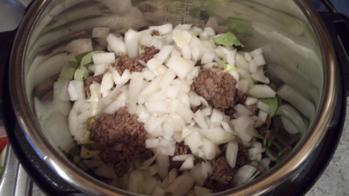 Instant Pot Ground Beef and Onions