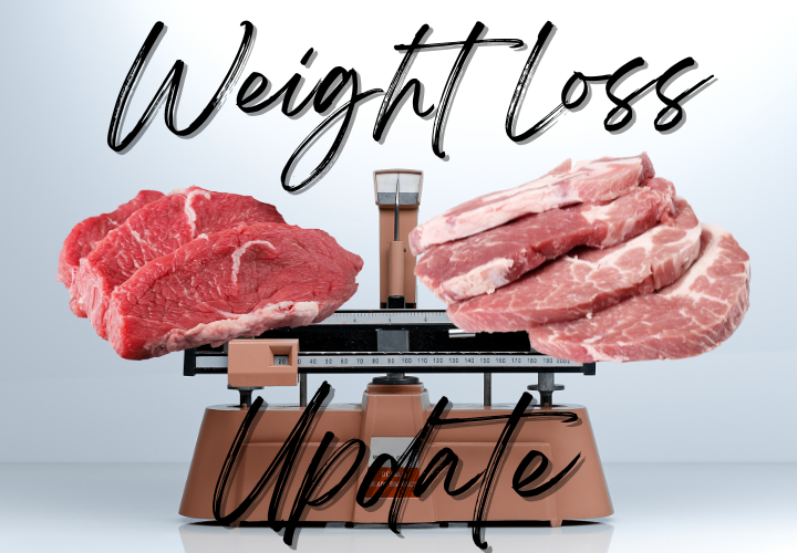 90 day carnivore diet challenge - 30 day update - weight loss